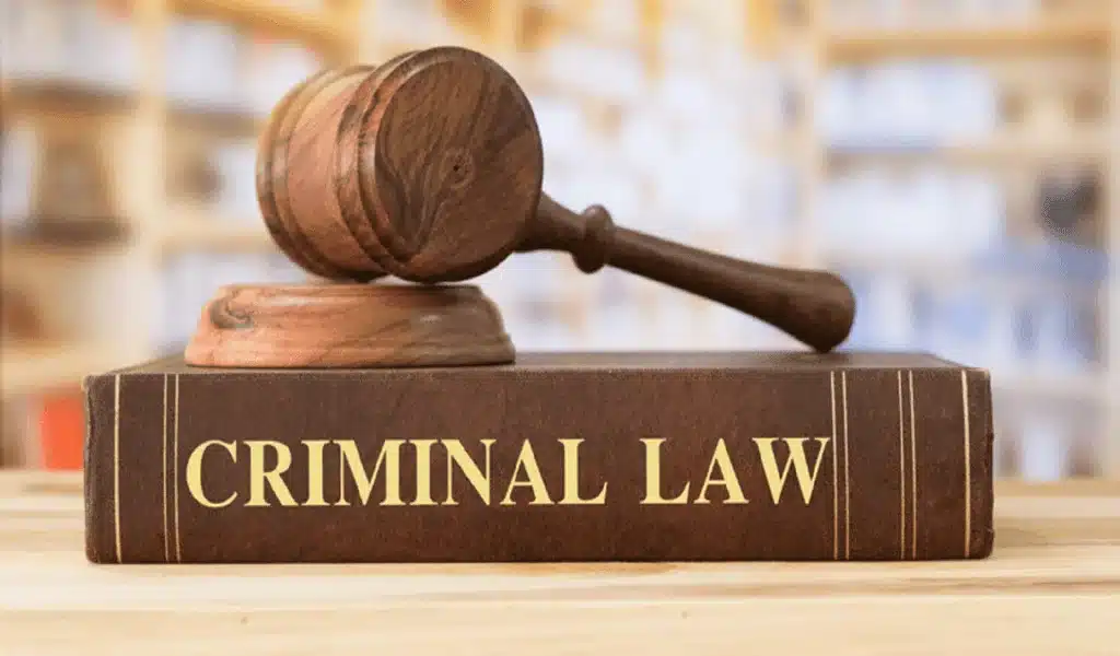 Best Criminal Lawyer in Delhi